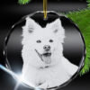 Crystal photo ornament featuring memorial photo of a dog