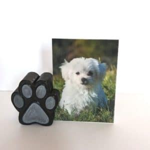 3D Printed Pet Paw Picture Frame