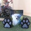 Double Paw Frame