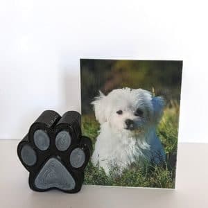 Pet Paw Print with Flip Photo