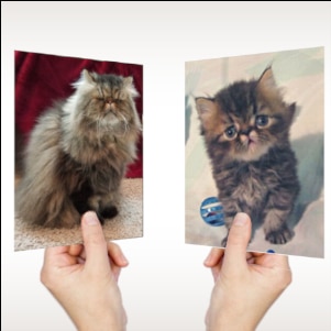 pet age then and now photo ideas
