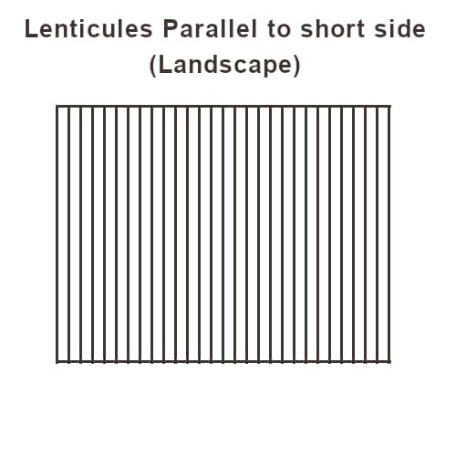 Lenticular Sheet 17x13, 100LPI (Pack of 5) - Transparent Lenticular Lens  Sheet Blanks, Portrait, for Magic Tricks