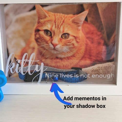 Pet Memorial Shadow Box