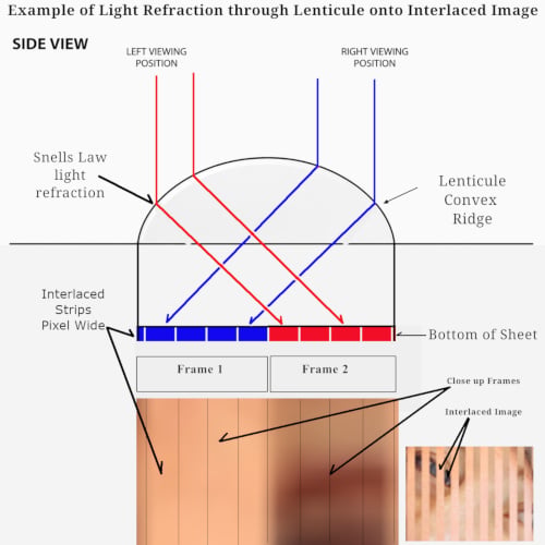 Diagram of how light refracts through lenticule